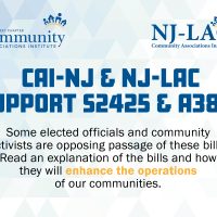 CAI-NJ & NJ-LAC Support S2425 & A3851 CAI-NJ & NJ-LAC Support S2425 & A3851